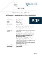 Histopathology - Muscle HE