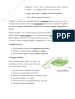 Ficha de Trabalho de Ciências Naturais - Unidade 25