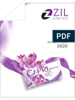 ZIL Annual Report 2020