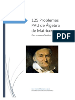 100 Problemas Matrices (1)