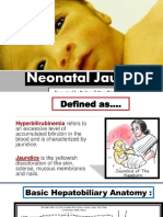 Neonatal Jaundice Final by S.S