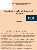 Organization and Maintenance of Organism: Delhi Public School Bangalore East