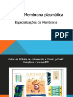 Aula4 Membranaplasmatica3