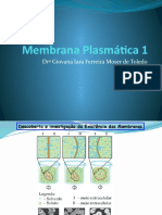 Aula 2 - PEDH - Membrana Plasmática