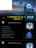 Despertar Da Cura Aula-Chacras PDF