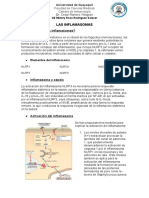 Midory Rodriguez Salazar g8 Las Inflamasomas