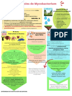 Bacterias Patógenas Gram +