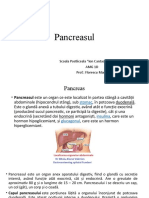 Pancreasul