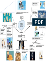 Mapa Mental Modelos Contables