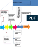 linea de timepo psicopatologia