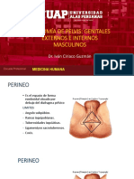 6.2-3.  Anatomia de pelvis genitales