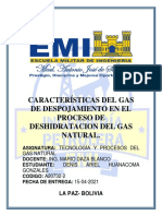 CARACTERÍSTICAS DEL GAS DE DESPOJAMIENTO Denis Huanacoma