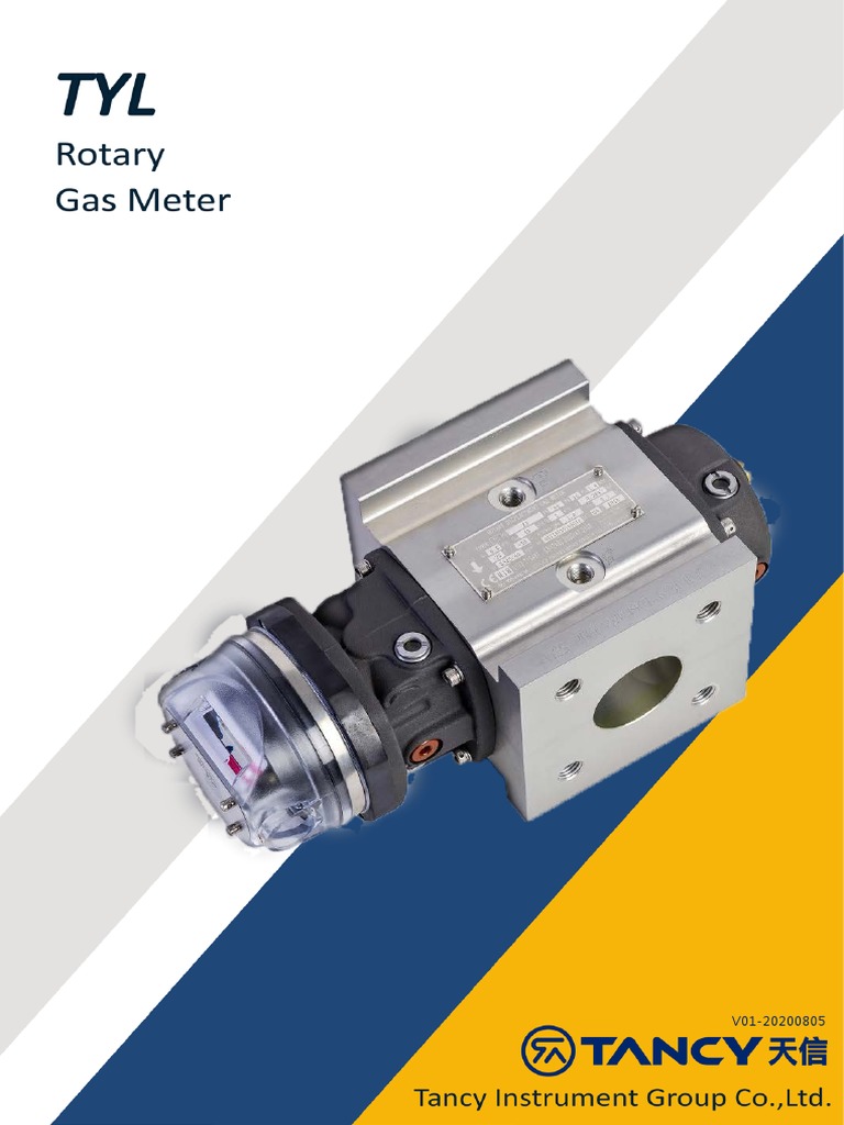 TYL Rotary Displacement Gas Meter | PDF | Bearing (Mechanical ...