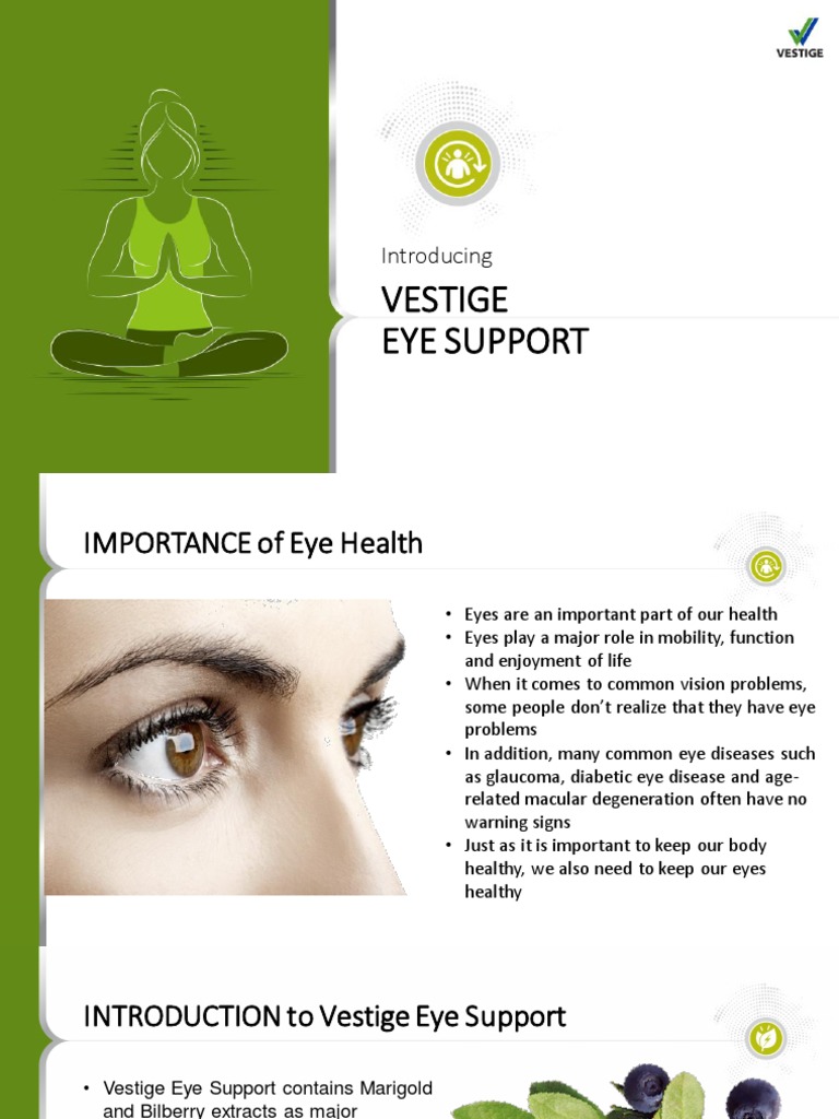 Vestige Eye Support PDF Visual Impairment Eye