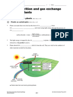 Plants absorb minerals and exchange gases