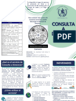 Trifoliar Consulta A Distancia