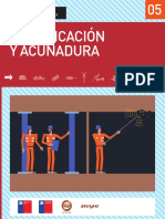 7.fortificacion-acunadura