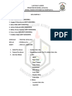 Format Laporan Akhir Soda Abu