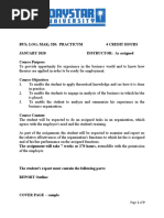 Practicum Report Format Guide | PDF