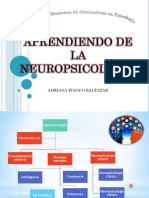 Aprendiendo de La Neuropsicologia