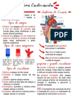 Sistema Cardiovascular