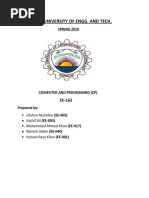 CP EE-163 Final Assignment