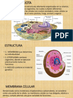 CELULA EUCARIOTA
