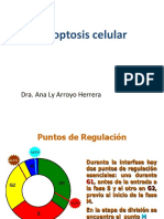 APOPTOSIS