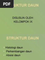 Download STRUKTUR DAUN by Oktasaprialdi Pratama SN51902667 doc pdf