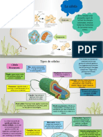 Actividad 3 - Diseño de Un Esquema de La Célula