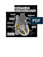 Apuntes Ekg