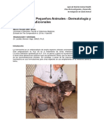 149 Ivermectina en Pequenos Animales - Dermatologia y Aplicaciones Adicionales Espanol 58fd3034eb