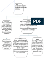 Diagrama de Toulmin