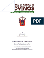 5.1. 2013. Modulo de Clinica de Bovinos Enfermedades 0 (1)