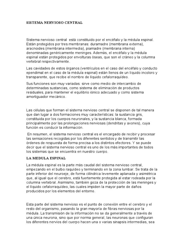 Estructura y Función del Sistema Nervioso Central | PDF | Sistema ...