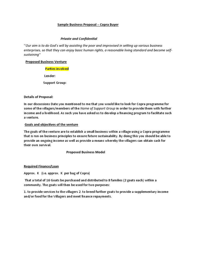 Sample Business Proposal | PDF