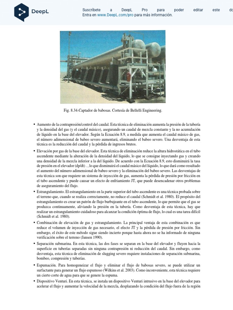 Chapter 8. Flow Assurance in Oil and Natural Gas Production3034 ES Descargar gratis PDF
