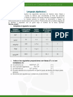 RLagunas - Lenguaje Algebraico I