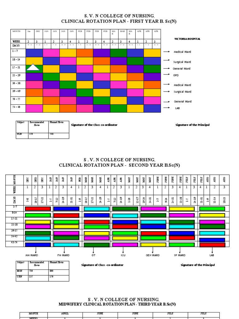 B.Sc Nursing Clinical Rotation Plan | PDF | Clinical Medicine | Medical ...
