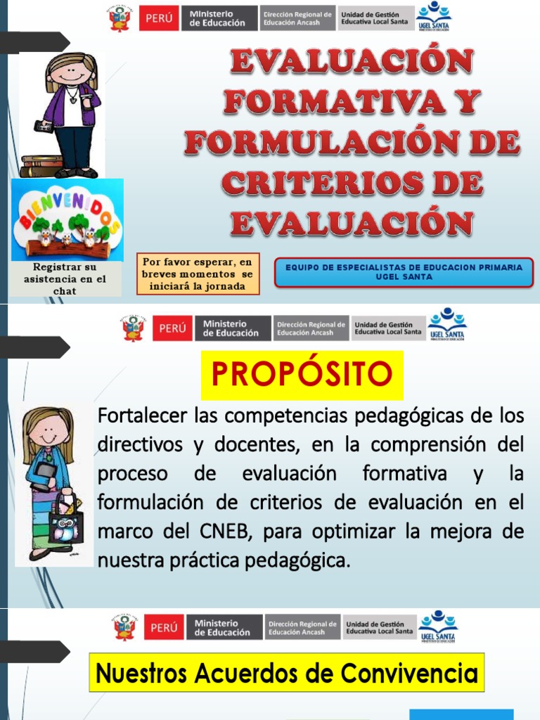 Criterios de Evaluación Formativa en Primaria | PDF | Evaluación ...