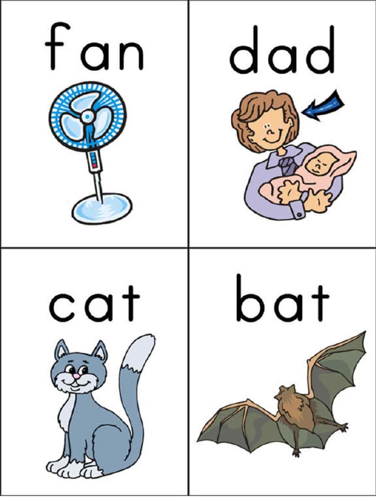 CVC Words With Pictures PDF