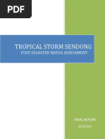 (Sample) PDNA Report For TS Sendong - Complete