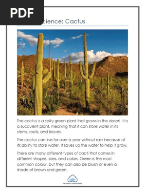 Cactus