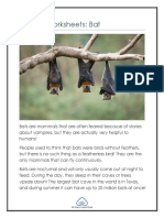 Primary Worksheets: Bat