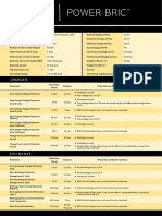 Power Bric: General Overview