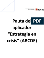 Pauta Del Aplicador