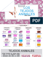 Tejidos Animales