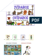 Los Animales Vivíparos y Ovíparos