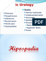 Hipospadia Fimosis