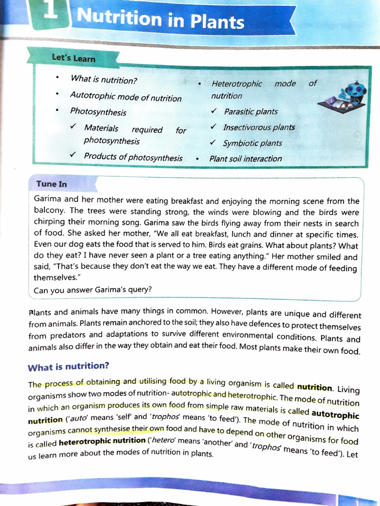 NUTRITION IN LIVING ORGANISMS PLANTS CLASS 7 QUESTIONS AND ANSWERS PDF visual data 6